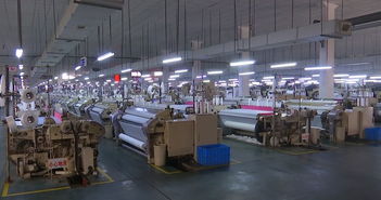 從外銷80到內銷80 吳江民企以拳頭商品成功開拓內銷市場的幕后故事